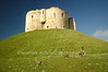 England : Taken in May 2005 and October 2007.